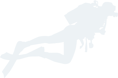 b体育